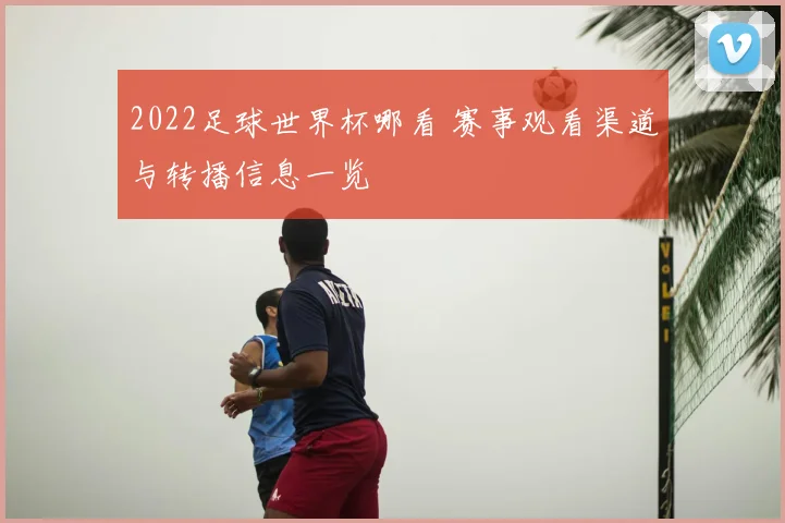2022足球世界杯哪看 赛事观看渠道与转播信息一览