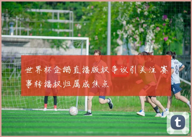 世界杯企鹅直播版权争议引关注 赛事转播权归属成焦点