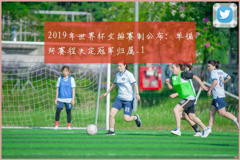 2019年世界杯女排赛制公布：单循环赛程决定冠军归属_1