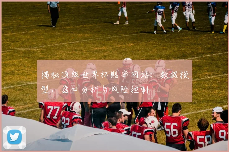 揭秘顶级世界杯赔率网站：数据模型、盘口分析与风险控制