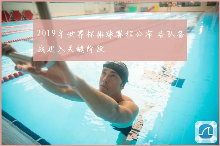 2019年世界杯排球赛程公布 各队备战进入关键阶段
