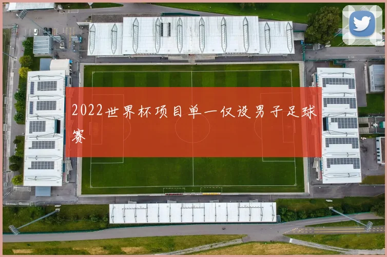 2022世界杯项目单一仅设男子足球赛