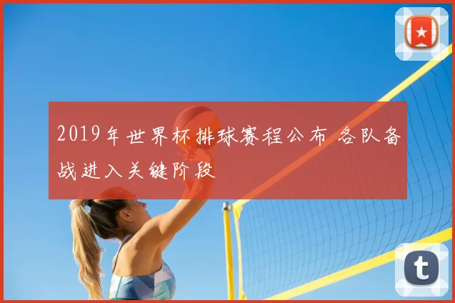 2019年世界杯排球赛程公布 各队备战进入关键阶段