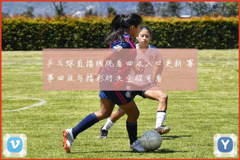 乒乓球直播线观看回放入口更新 赛事回放与精彩对决全程可看