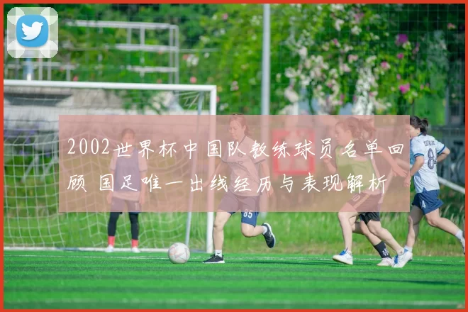 2002世界杯中国队教练球员名单回顾 国足唯一出线经历与表现解析